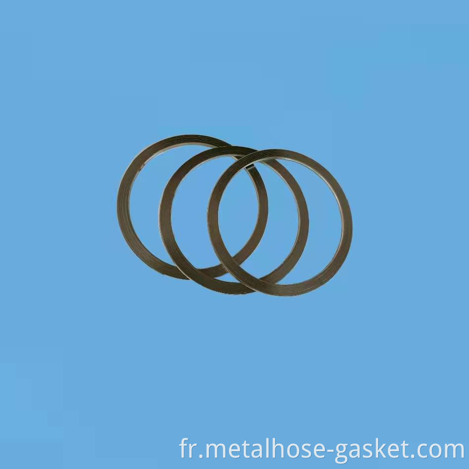 Basic spiral wound gasket